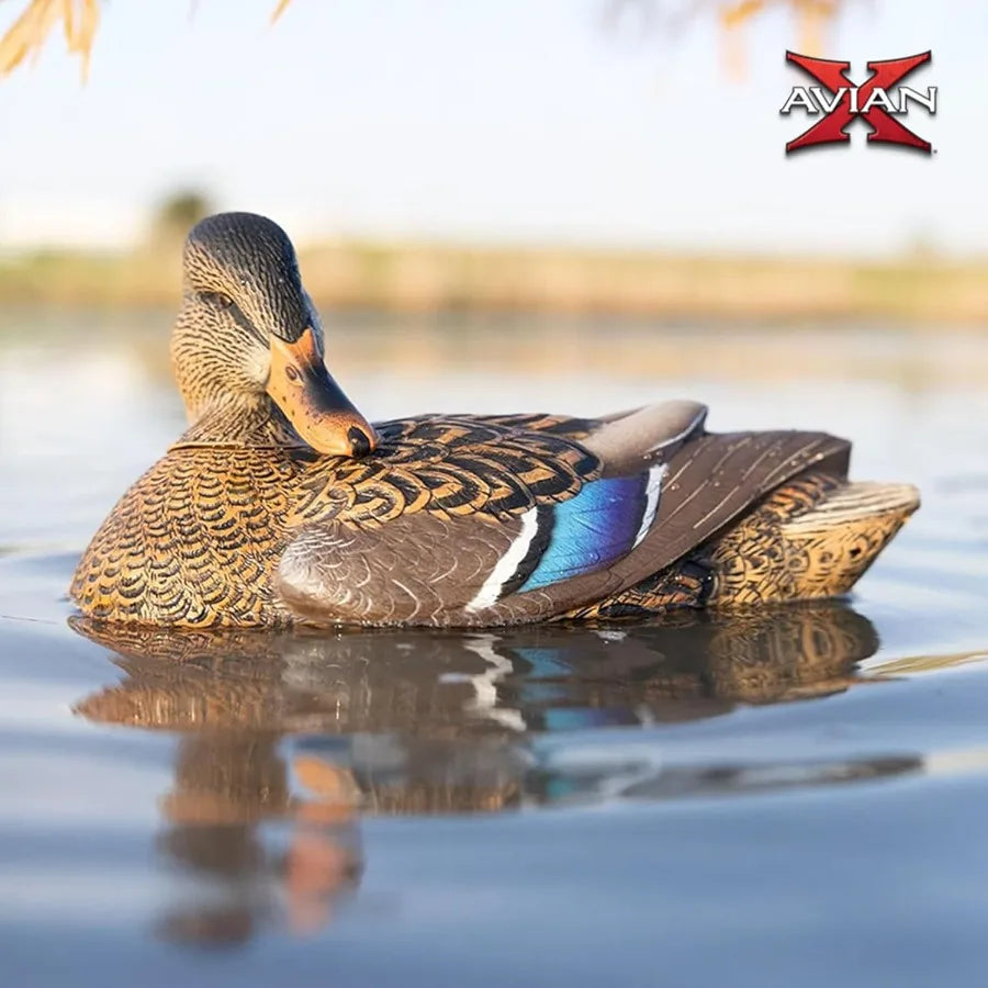 Power Shaker Duck Surface Feeder For Realistic Decoy Spreads