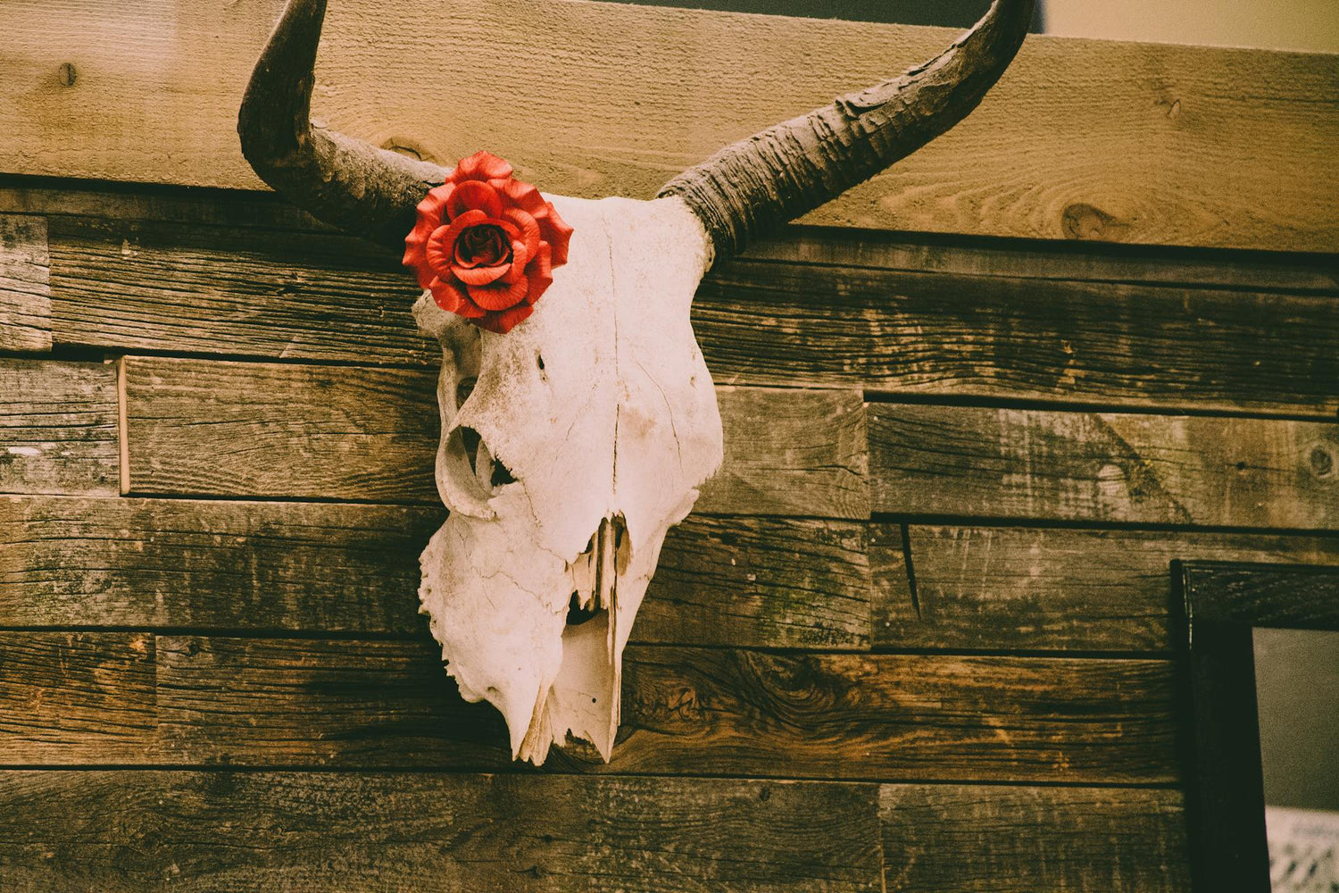 Western Decor