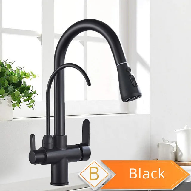 Rozin Purification Kitchen Faucet With Pull Out Spray