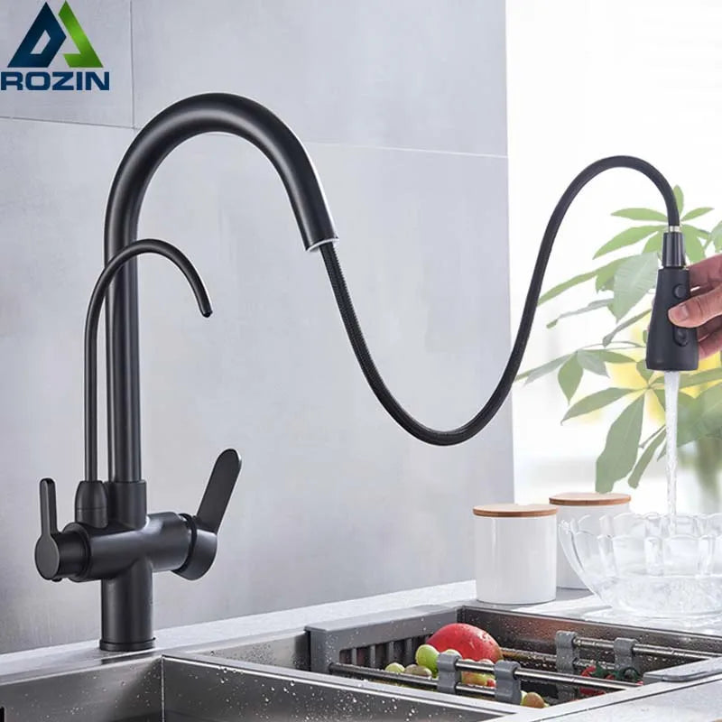 Rozin Purification Kitchen Faucet With Pull Out Spray