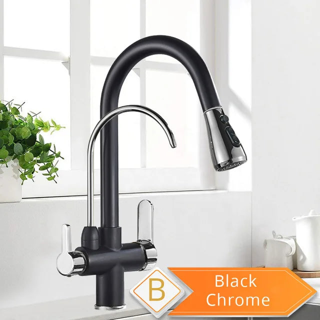 Rozin Purification Kitchen Faucet With Pull Out Spray