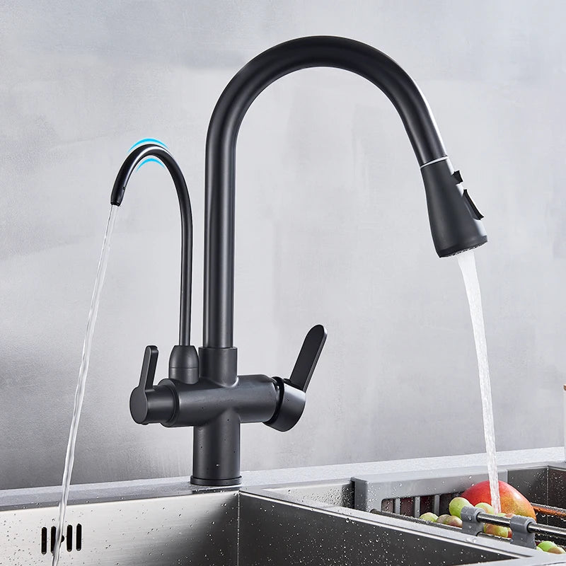 Rozin Purification Kitchen Faucet With Pull Out Spray