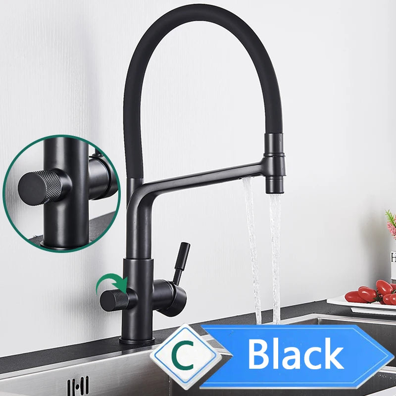 Rozin Purification Kitchen Faucet With Pull Out Spray