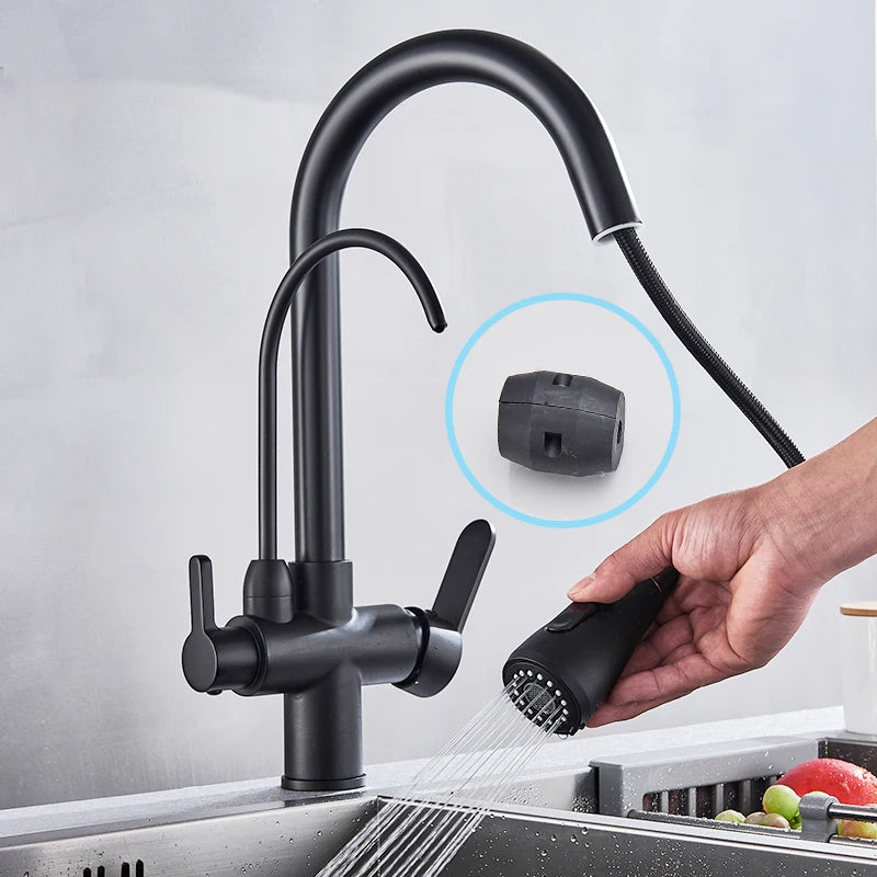 Rozin Purification Kitchen Faucet With Pull Out Spray