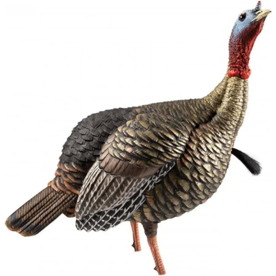 Avian X HDR Jake Turkey Decoy Rugged Realistic Lifelike