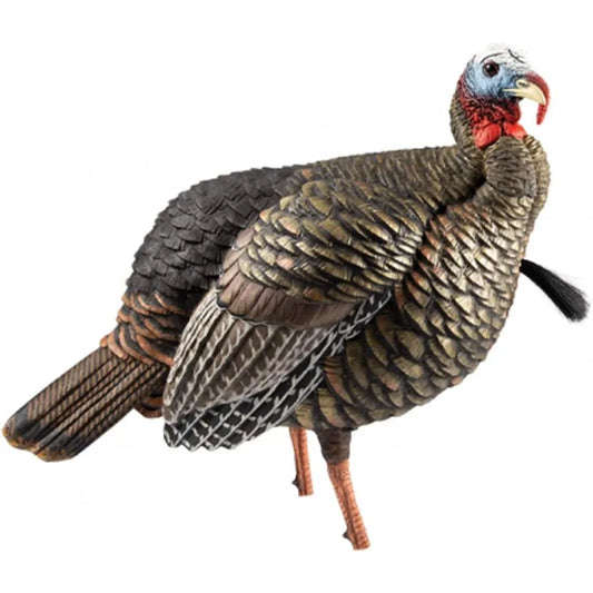 Avian X HDR Jake Turkey Decoy Rugged Realistic Lifelike