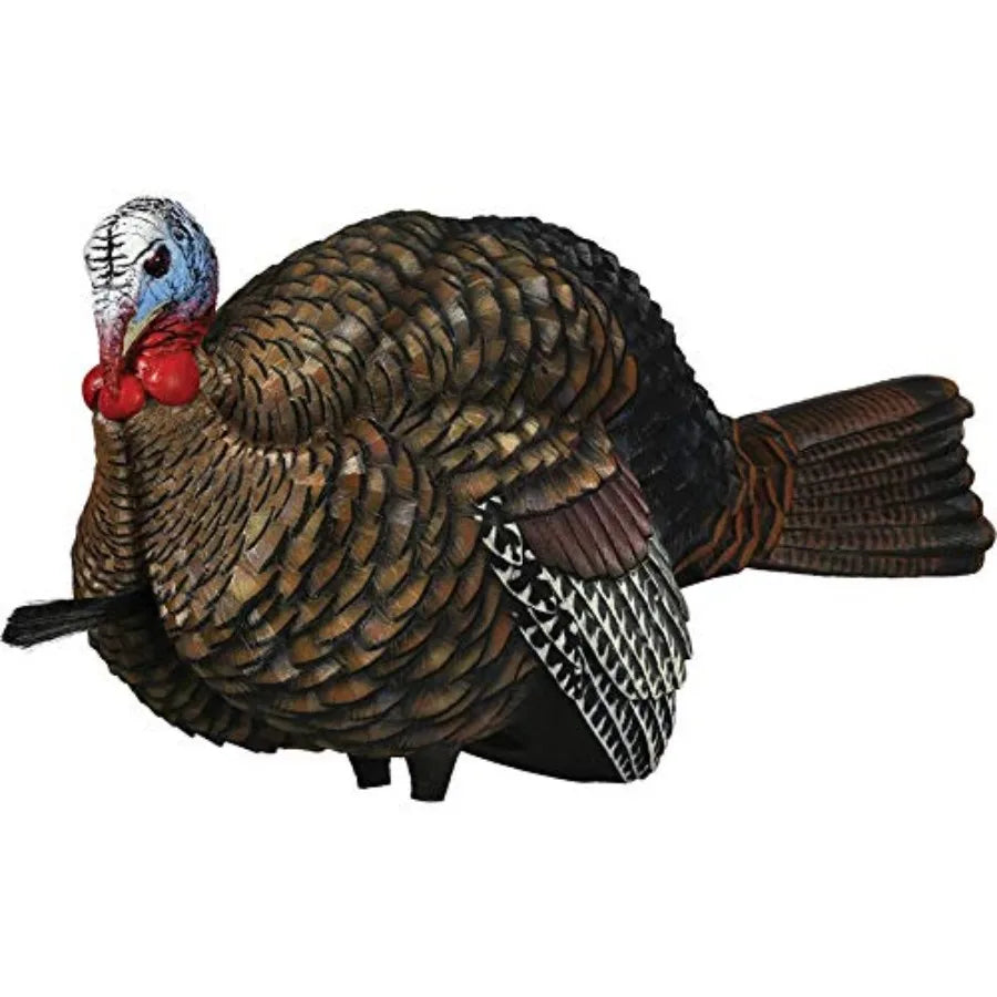 LCD Half Strut Jake Turkey Decoy For Turkey Hunting