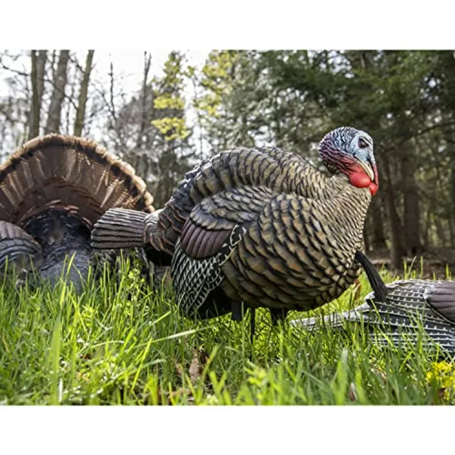 LCD Half Strut Jake Turkey Decoy For Turkey Hunting