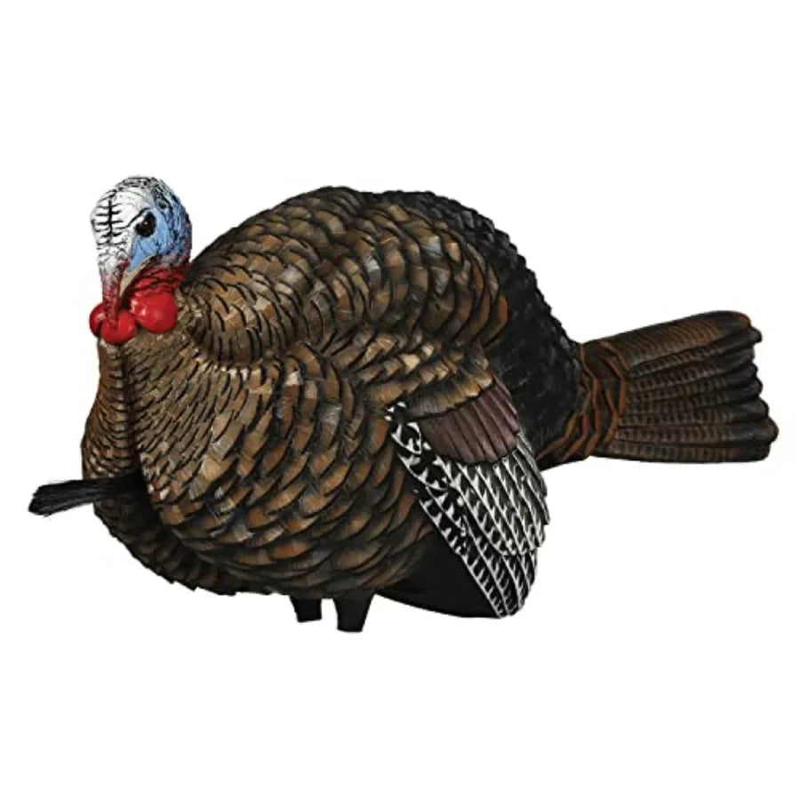 LCD Half Strut Jake Turkey Decoy For Turkey Hunting